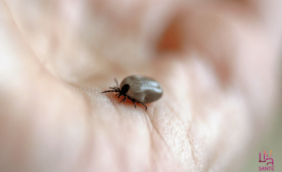 maladie de lyme