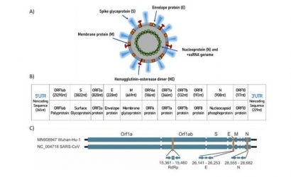 Veille Scientifique Extrait n°1