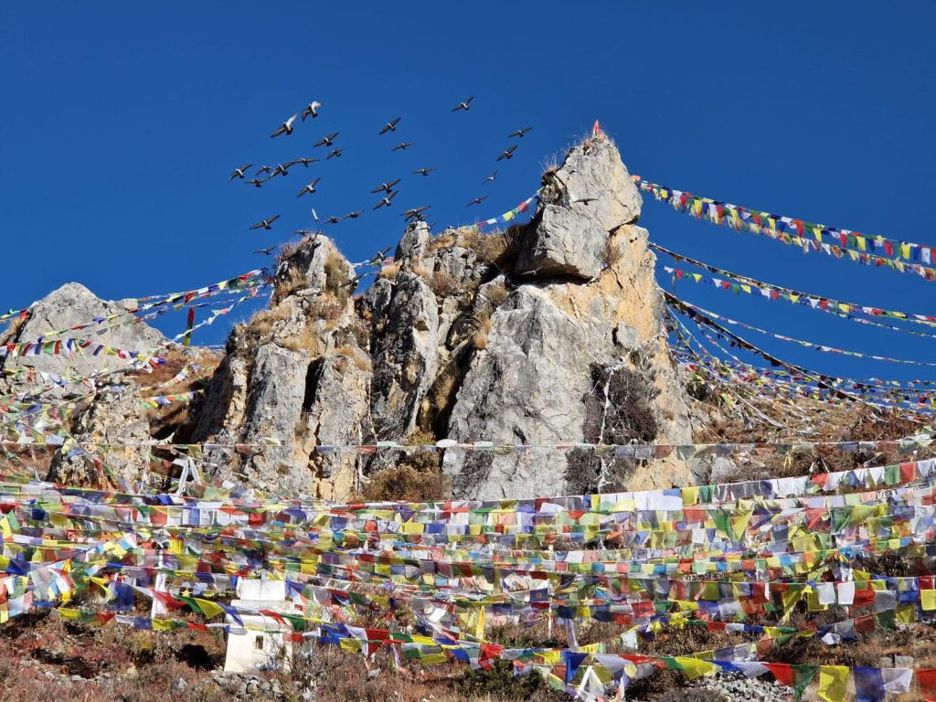 montagne nepal